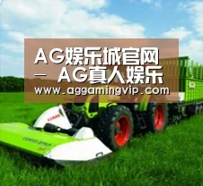 关于AG娱乐城