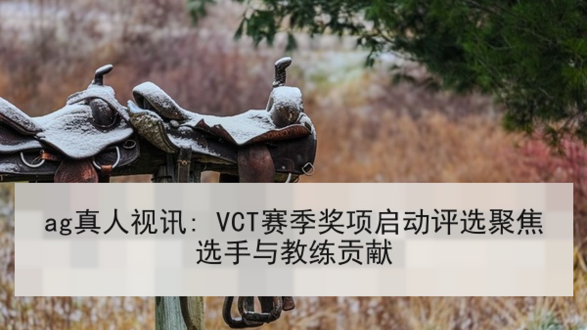 ag真人视讯: VCT赛季奖项启动评选聚焦选手与教练贡献