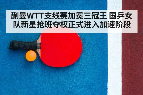 table tennis racket and ball close up