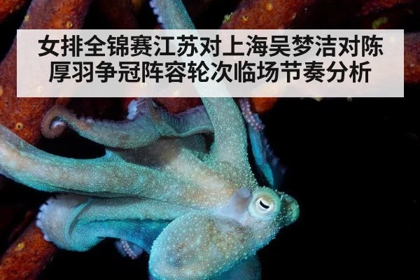 女排全锦赛江苏对上海吴梦洁对陈厚羽争冠阵容轮次临场节奏分析
