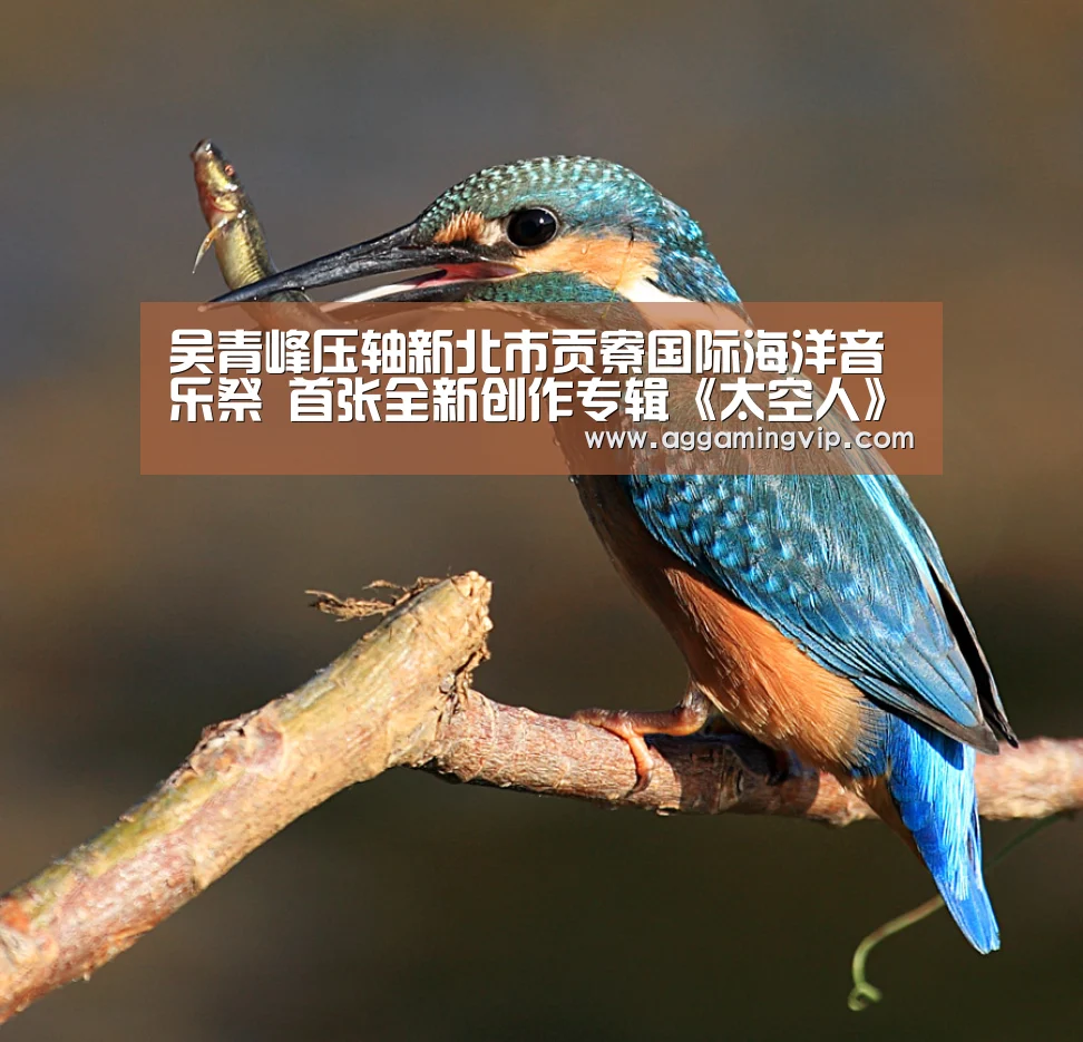 AG娱乐